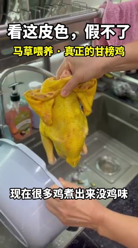 Ayam Emas Rumput (Macao Yellow Chicken)